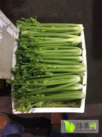 西芹价格最新行情动态更新🌱🥦