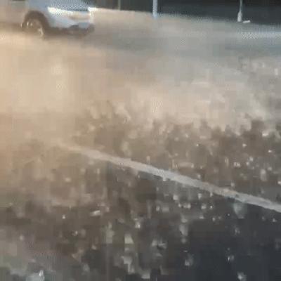 山东最新动态揭秘,巷弄深处的独特风味