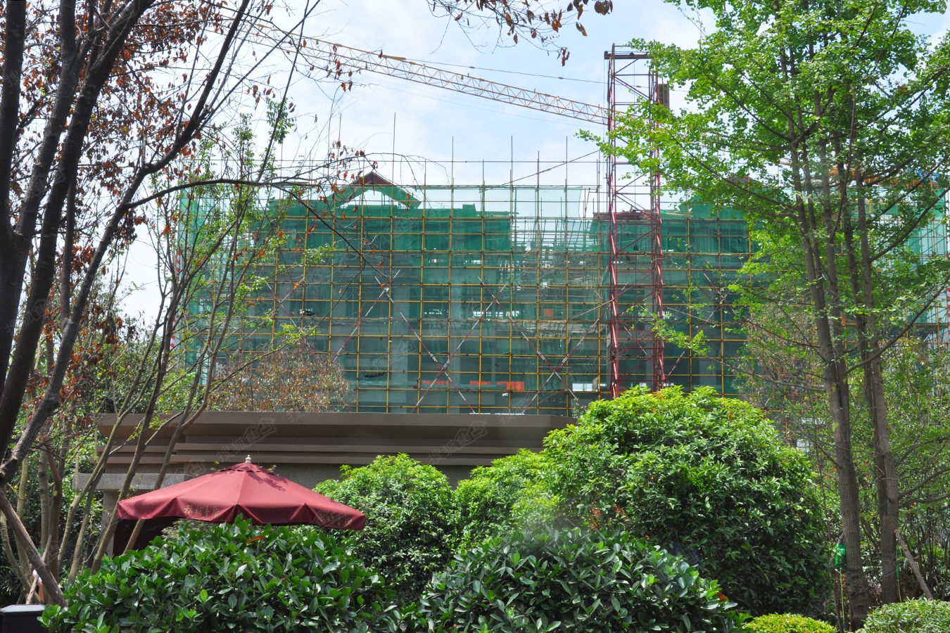 朗基御今缘最新动态揭秘,小巷中的隐藏特色小店最新资讯速递