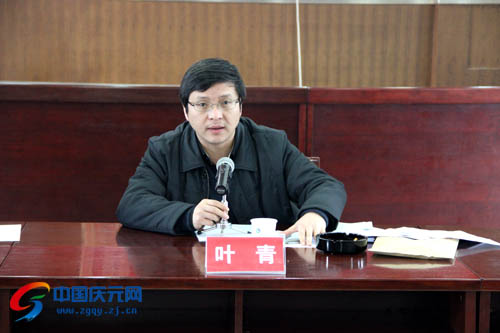 庆元县长叶青履新情况揭秘,上任以来的新动态与成就