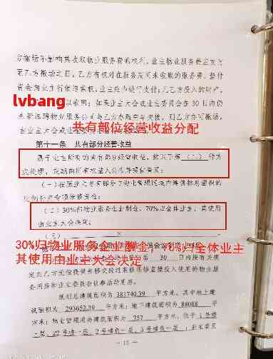 物业公司章程最新范本,探索自然美景之旅,追寻内心平和宁静之道