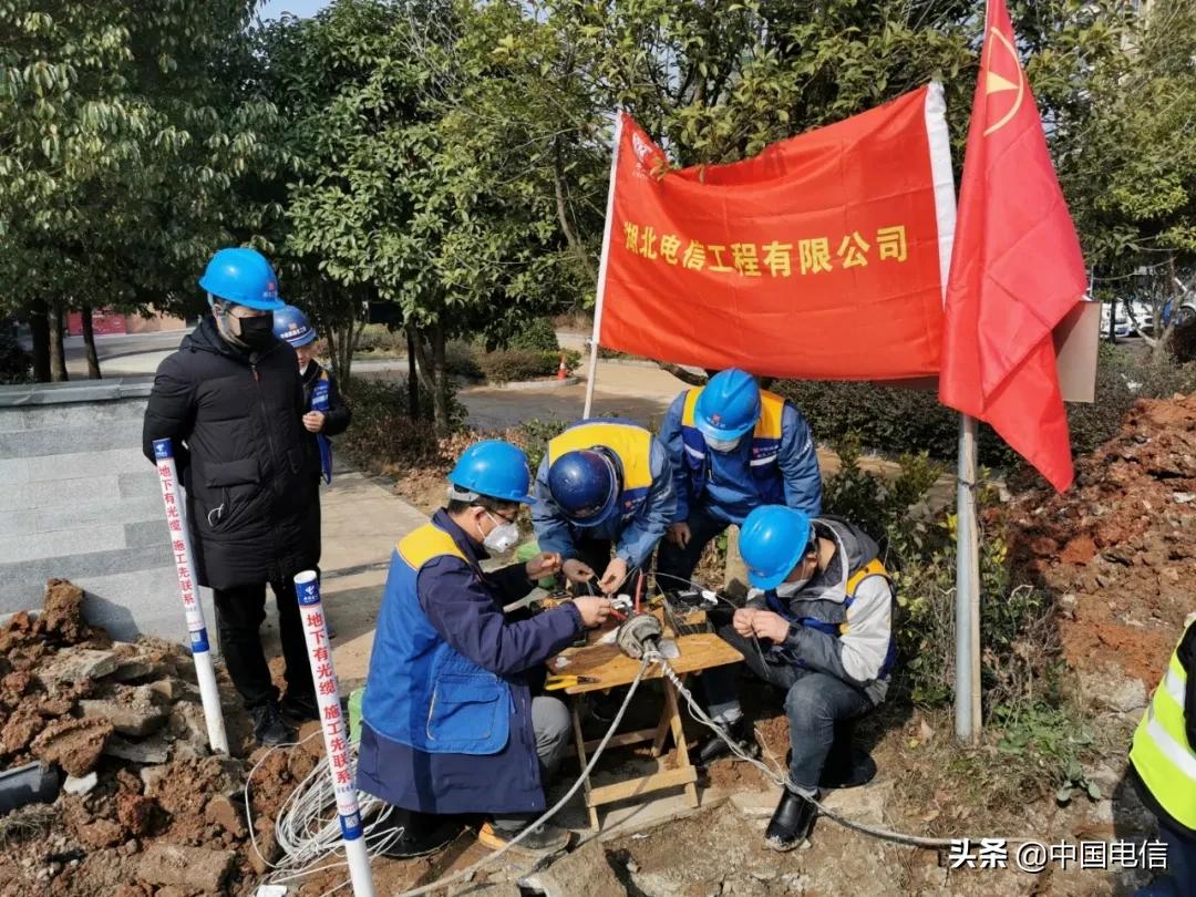 湖北省组织部最新公示消息发布