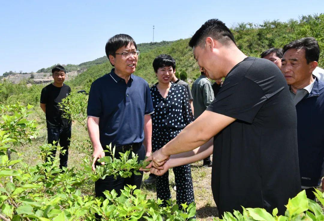 一级建造师最新政策，行业变革与未来发展展望