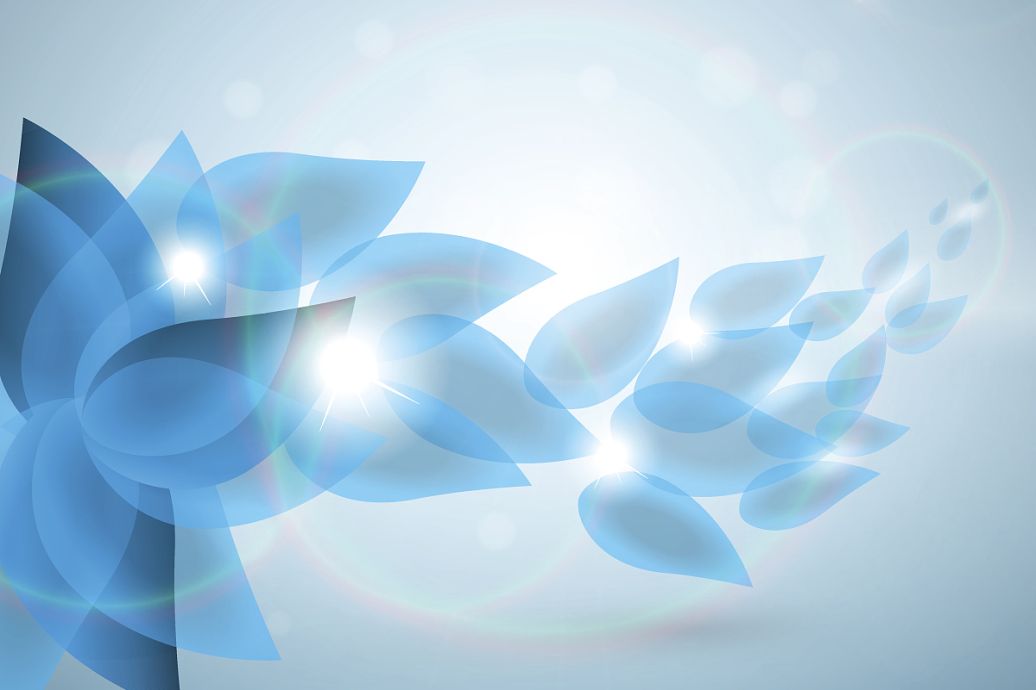 折纸蚂蚁最新小说,一张纸的力量与无限可能