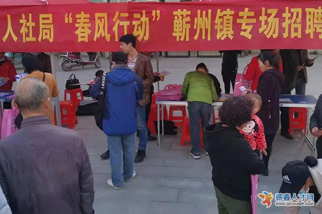 蕲春人才网,科技引领全新招聘体验