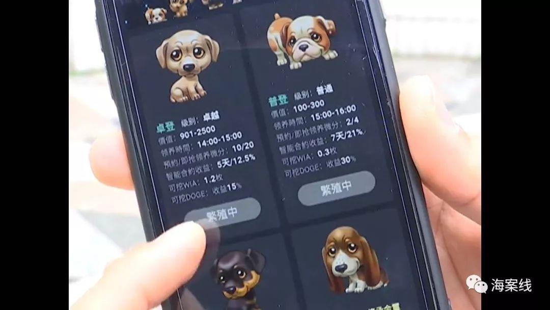 电子狗下载手机最新版，便捷导航与安全首选工具