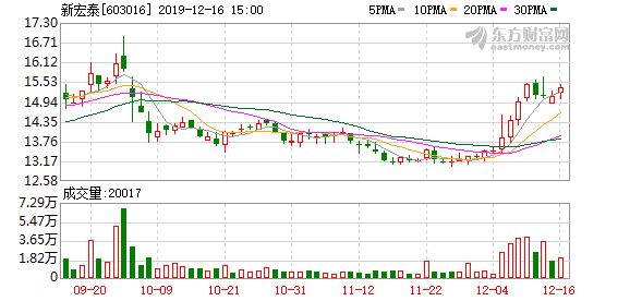 新宏泰股票最新动态,深度分析与观点阐述