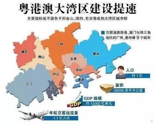 粤港澳大湾区最新动态，自然美景之旅与内心宁静的探索之旅