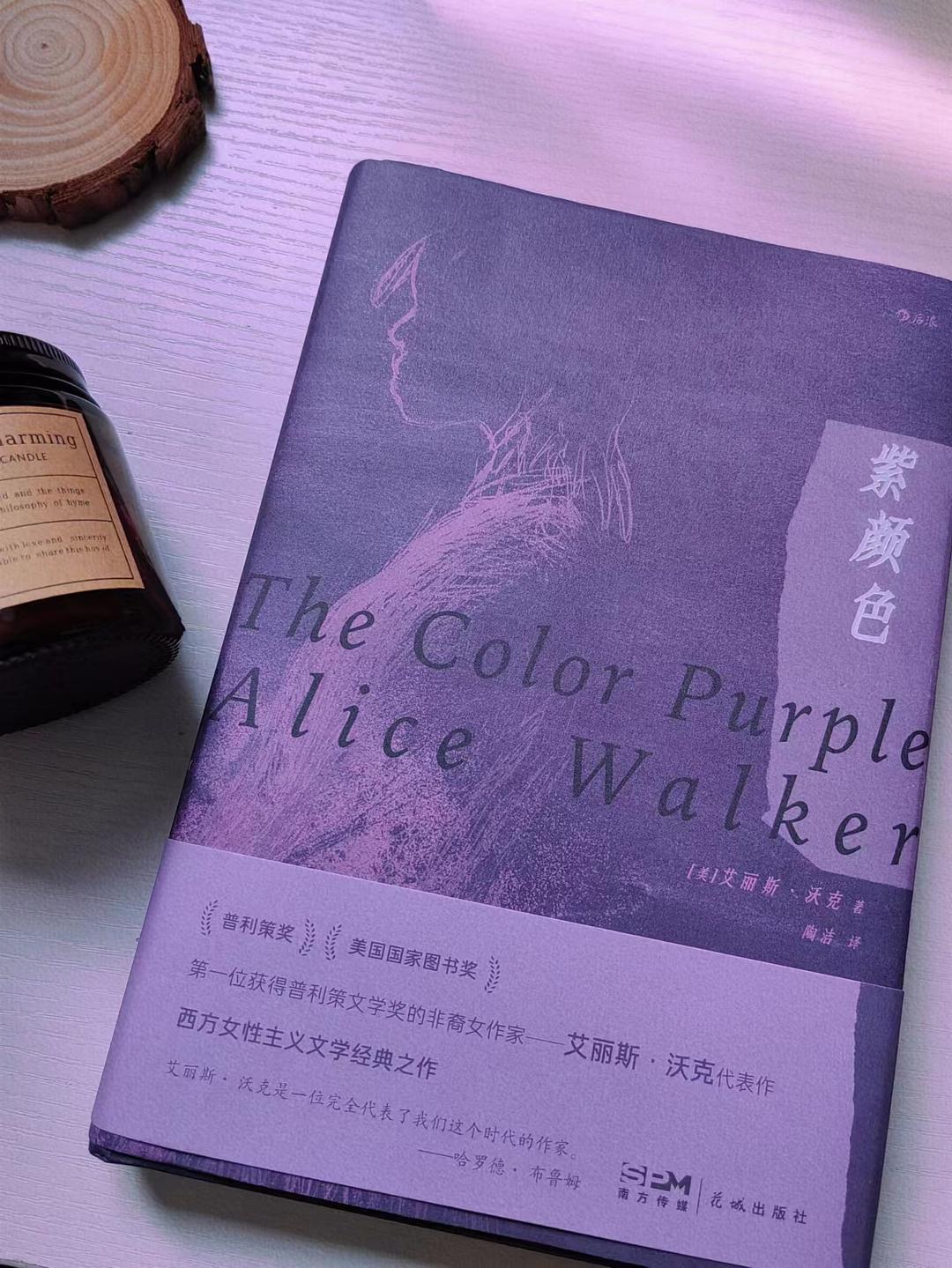 紫色最新小说,温馨日常的陪伴