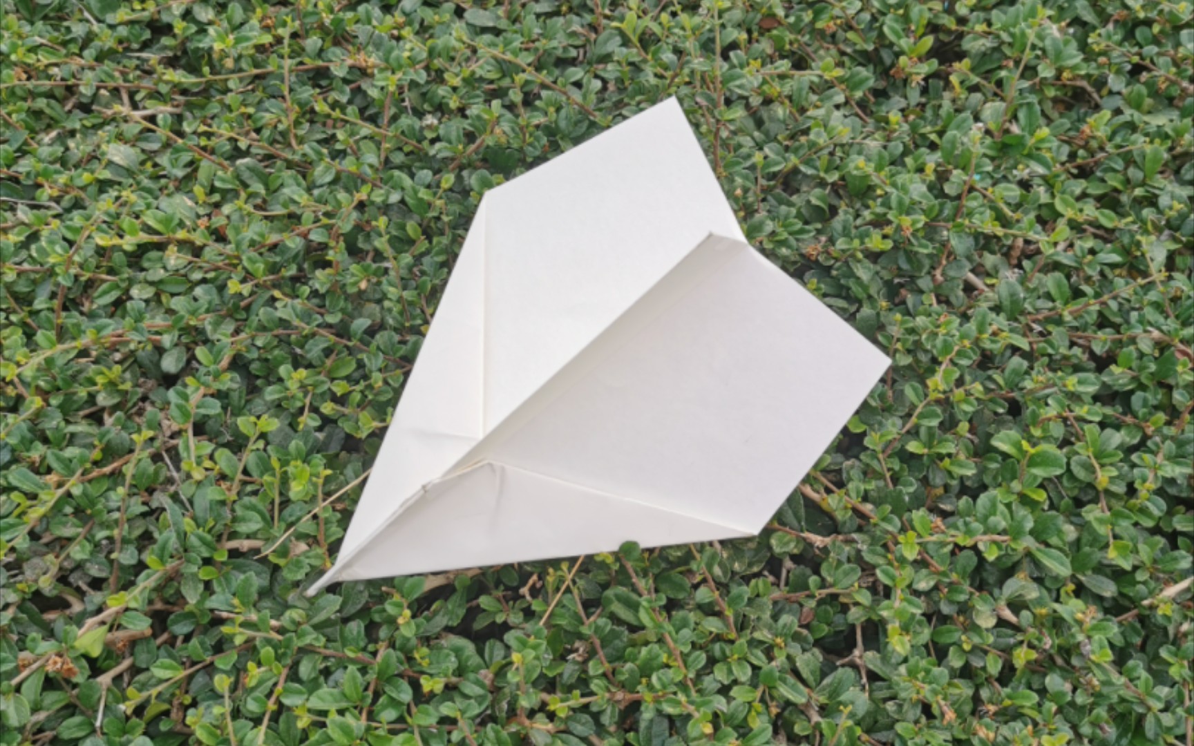 最新纸飞机,一张纸点亮人生之旅的飞翔梦想