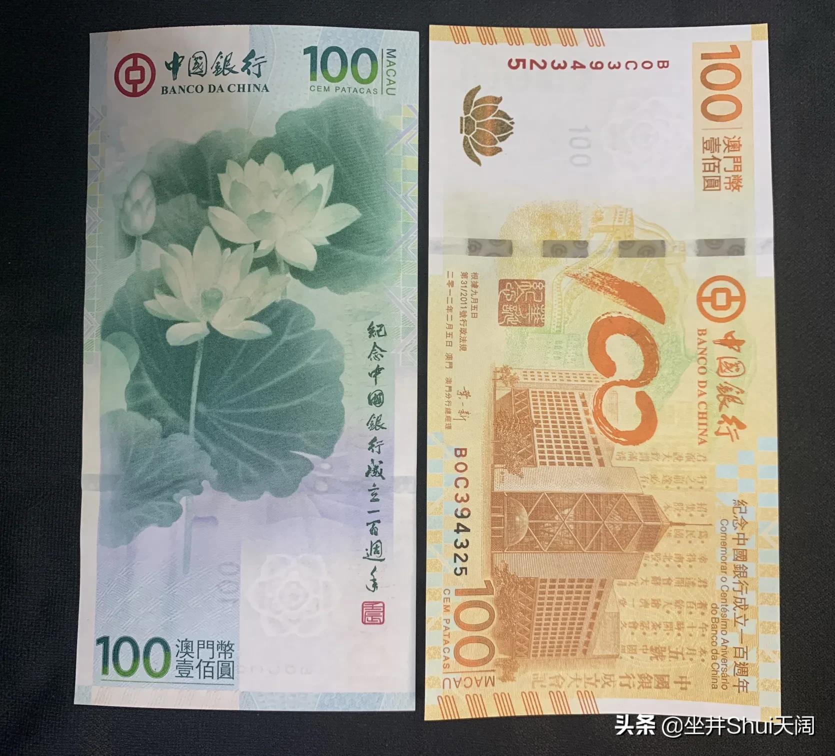 荷花钞最新价格揭秘，市场行情深度探讨