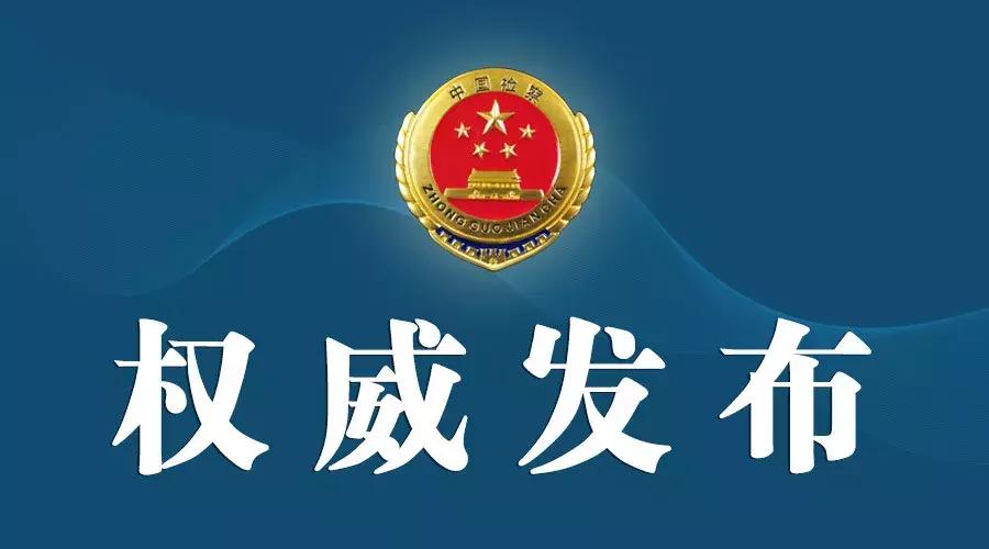 杨阿麟最新发现，小巷中的美食宝藏揭秘
