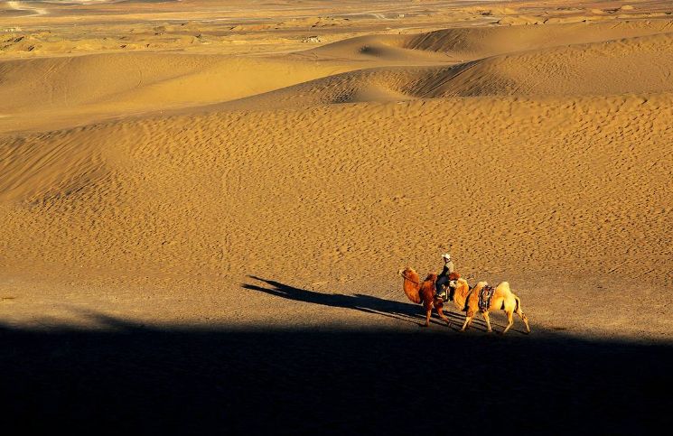 大漠最新版,全新体验与独特魅力揭秘