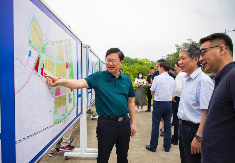 芜湖沈巷最新规划,共创美好未来,展现自信与成就的力量