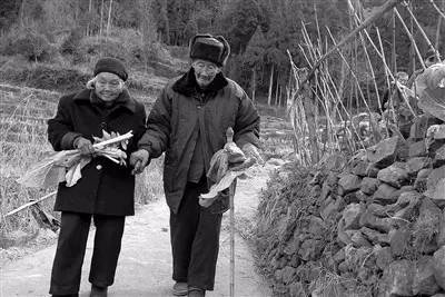 洞口石江杀人事件深度剖析与观点阐述,最新事件报道