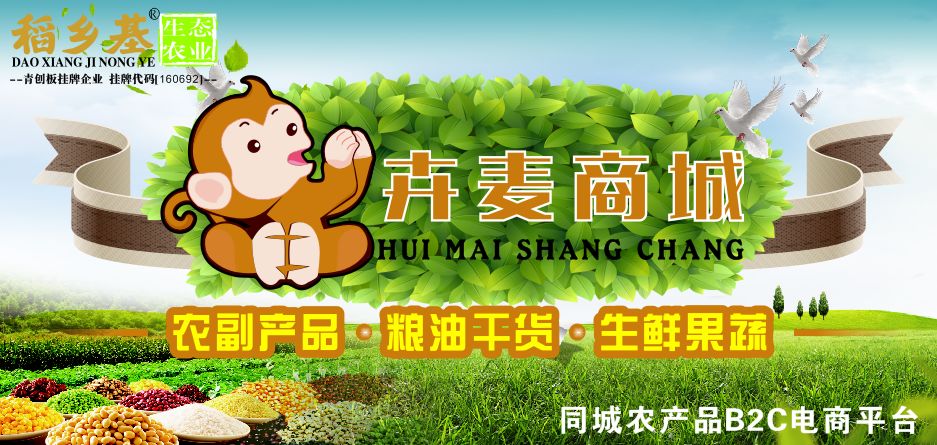 吉安智慧城最新动态更新，城市智能化发展实时报道