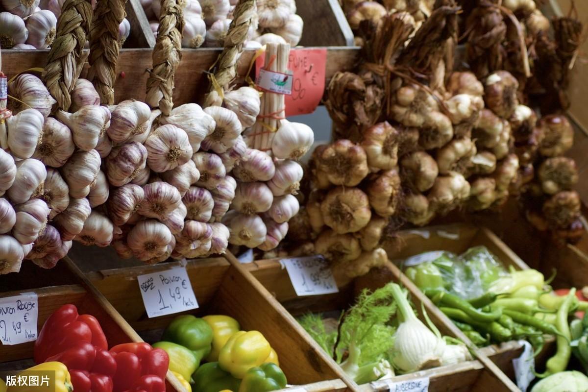 河南大蒜行情最新动态,走势分析与温馨日常体验