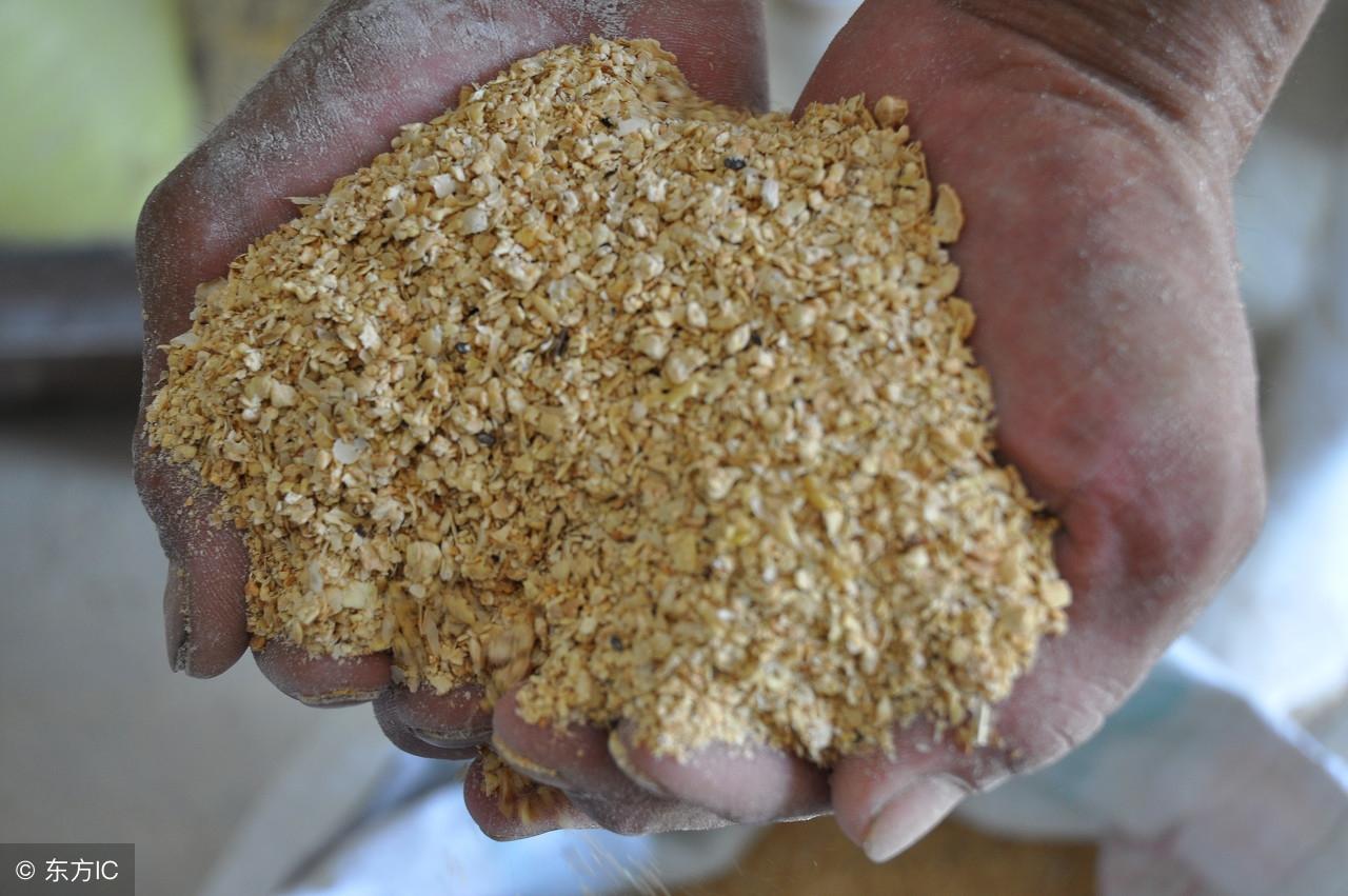 山东棉粕最新价格详解,获取与理解的步骤指南(适用于初学者与进阶用户)