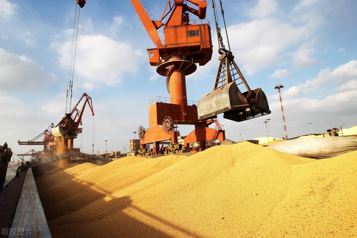 山东棉粕最新价格详解,获取与理解的步骤指南(适用于初学者与进阶用户)