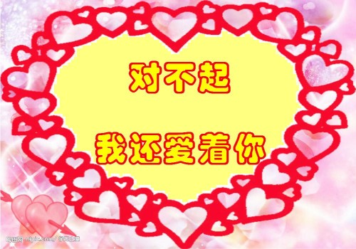 反思道歉文化，最新对不起图片带字的多重视察