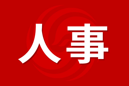 肥东最新人事任免，自然美景背后的探索之旅
