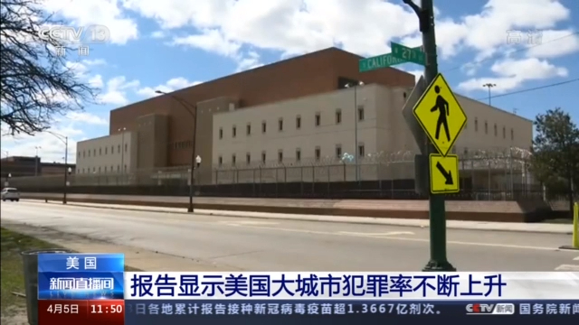 大城最新杀人案深度探究与案例分析,揭示真相与反思社会影响