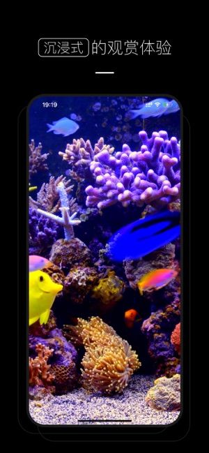 最新手机屏保,探索自然美景,寻找内心平和之旅