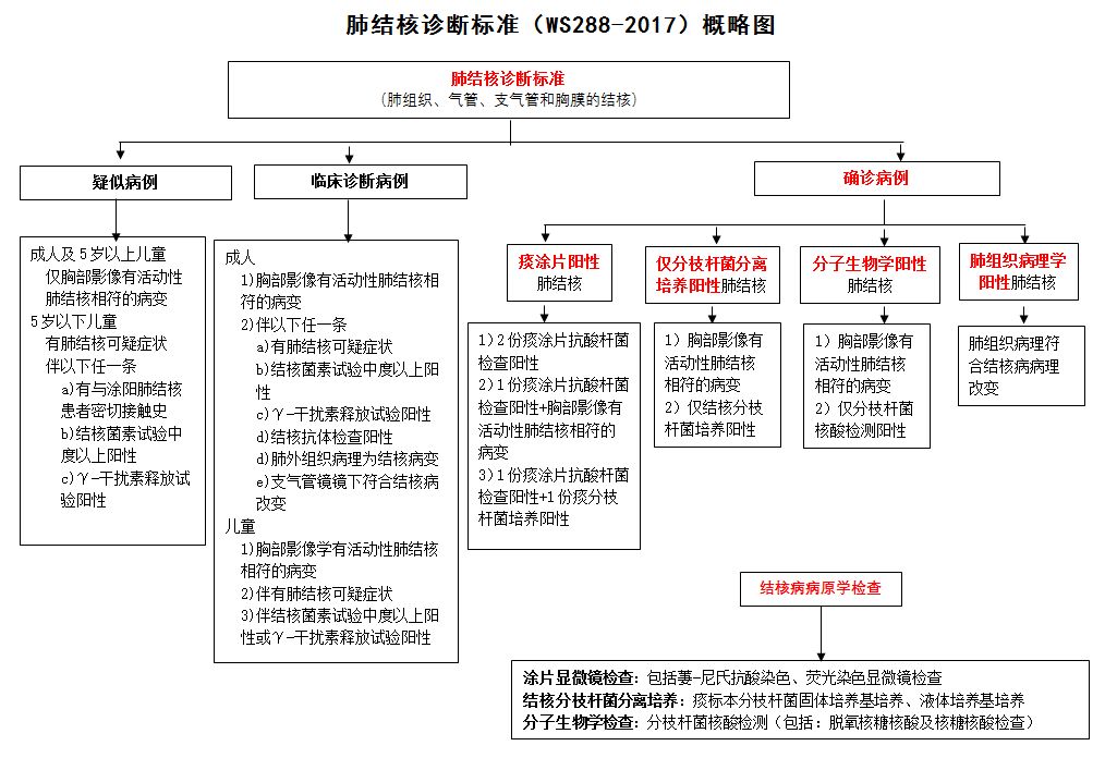 肺结核最新诊断标准详解，理解与应用指南