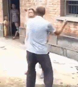 最新骂人图片带字,日常趣事中的温馨与幽默瞬间