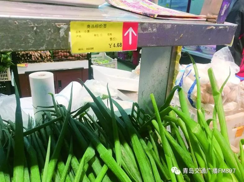 小葱最新批发价详解，市场趋势、影响因素与选购策略