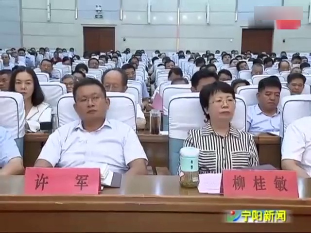 宁阳最新新闻视频，小巷美食探秘，美食与环境的完美融合之旅