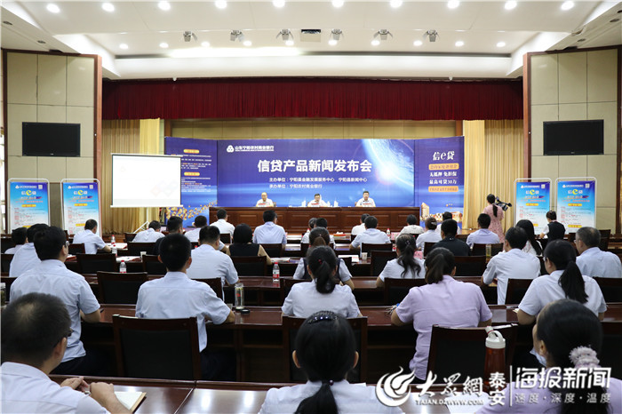 宁阳最新新闻视频,小巷美食探秘,美食与环境的完美融合之旅