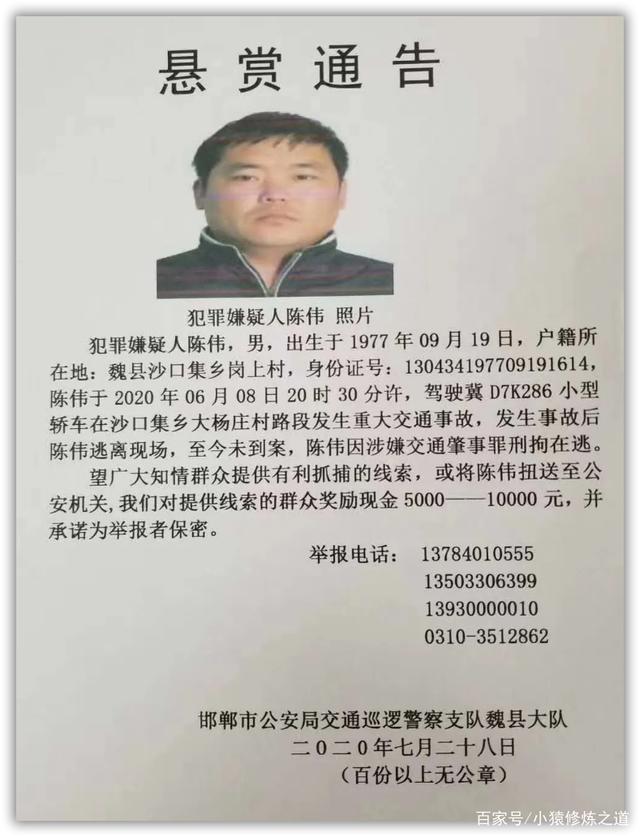 邯郸最新通缉令，城市安全的紧迫守护任务