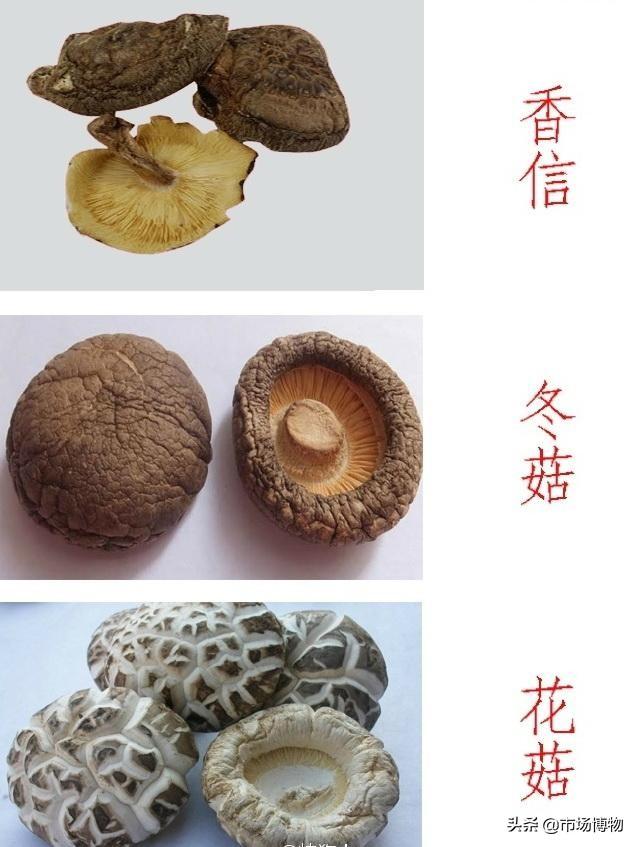 干香菇价格最新行情深度解析