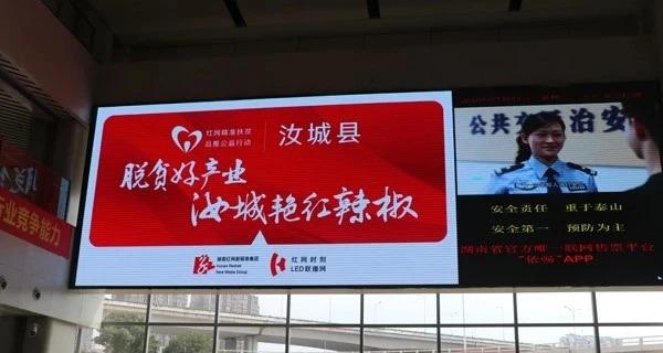走进数字时代，2025新晃最新红网带你探索无限可能