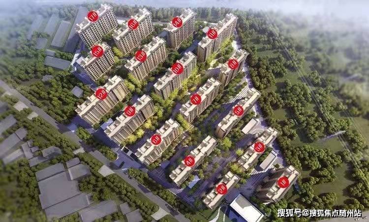 002425最新消息详解，轻松完成任务与技能提升指南