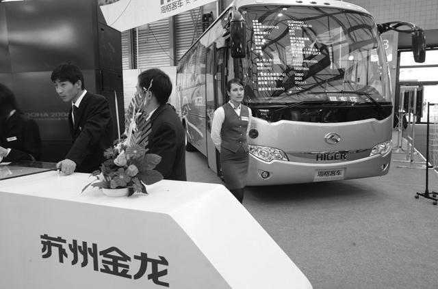苏州金龙与友情之光，日常中的非凡旅程最新报道