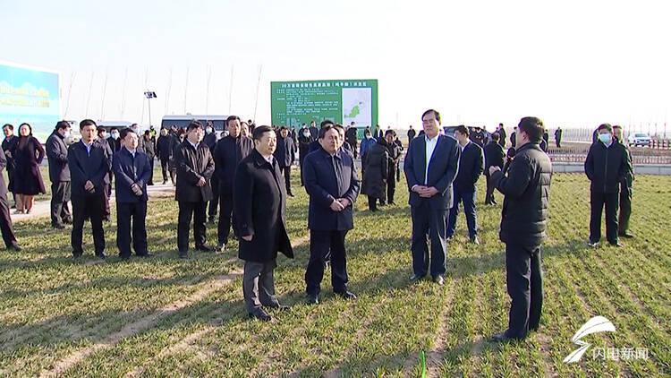 德州玉米最新价格揭秘，小巷深处的秘密美味与探秘之旅