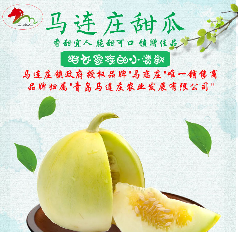 马连庄甜瓜最新价格及分析概述