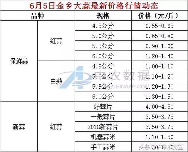 金乡大蒜最新价格走势及分析，市场趋势与影响因素深度解析