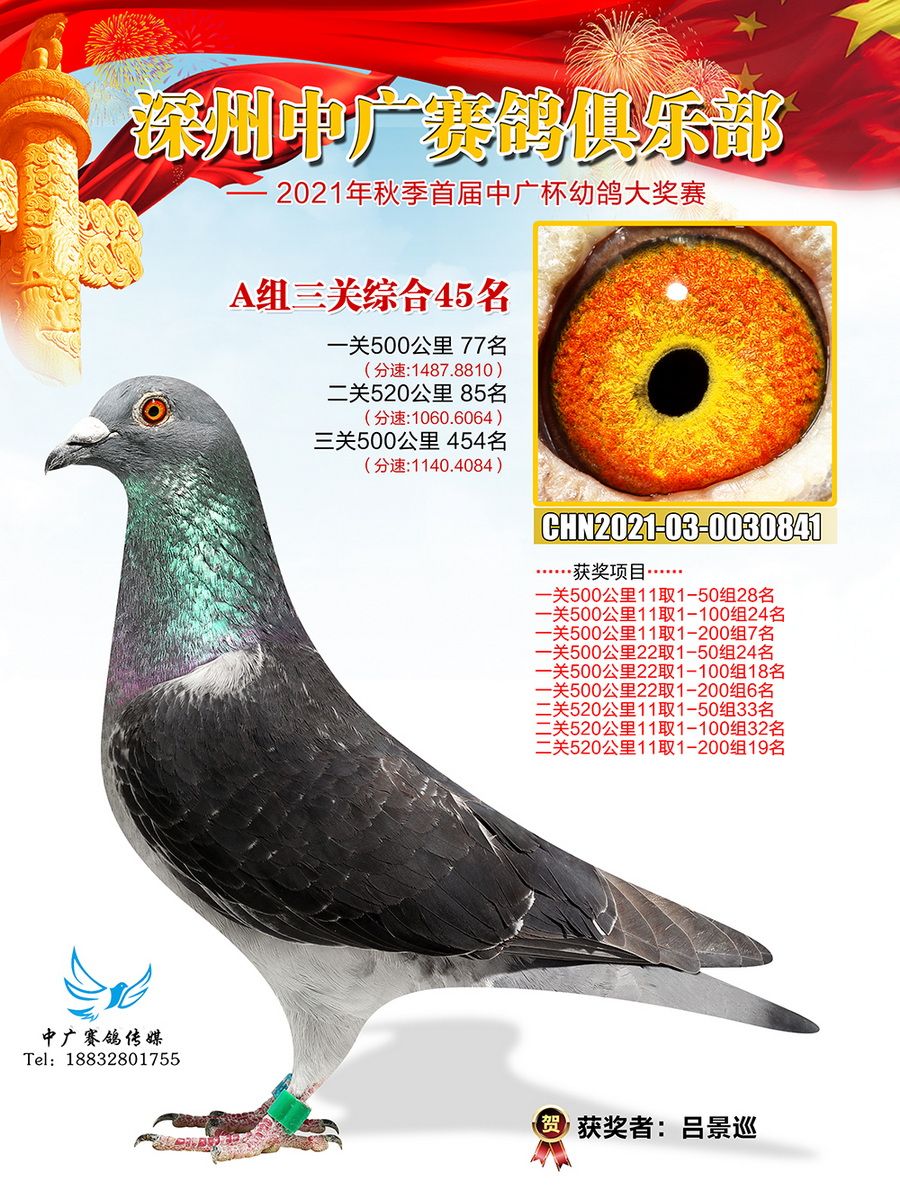 深州信鸽协会最新公告观点详述