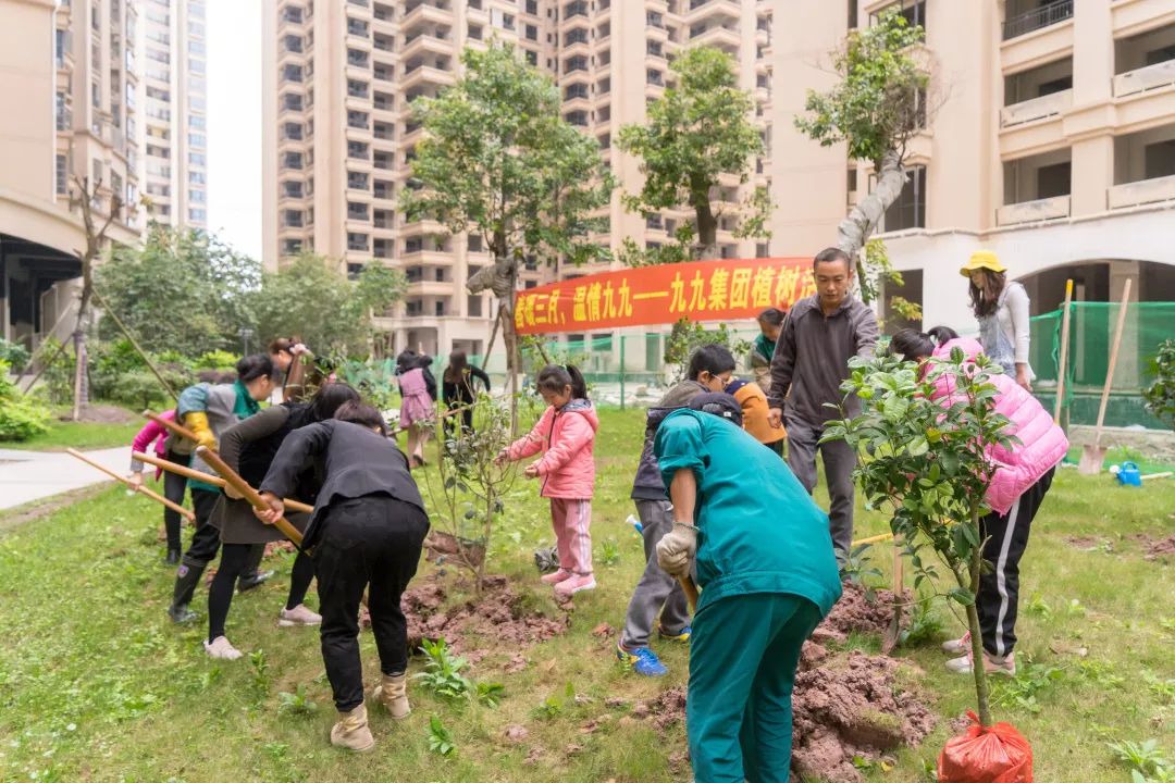 玉林碧桂园最新动态揭秘,最新更新与进展