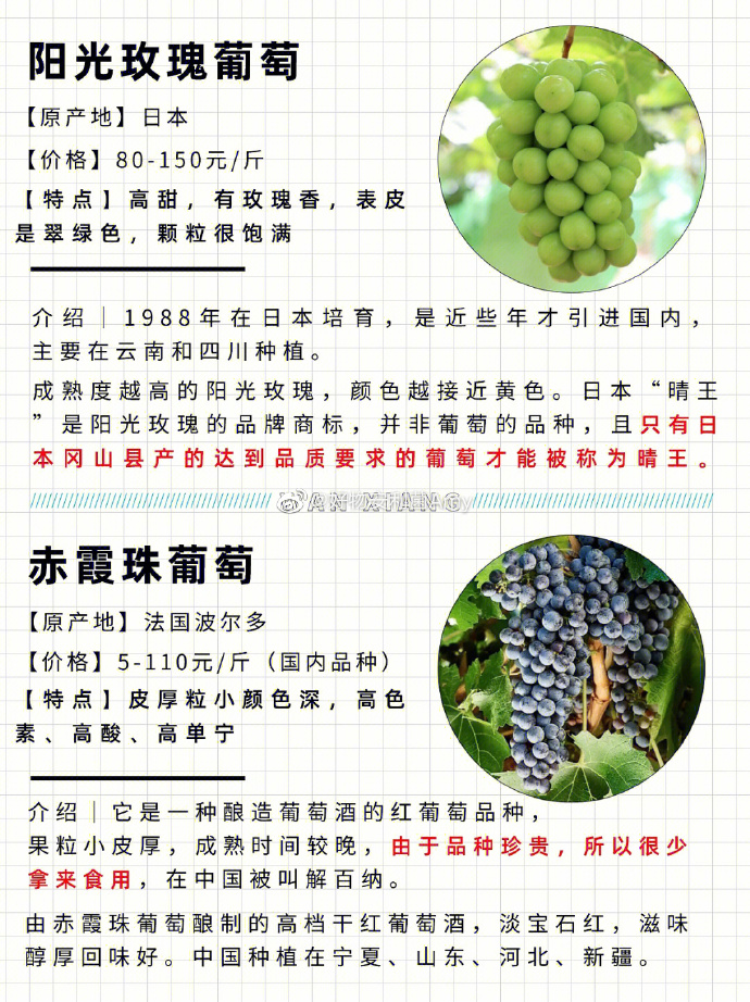 今日葡萄价格行情更新，最新市场走势分析