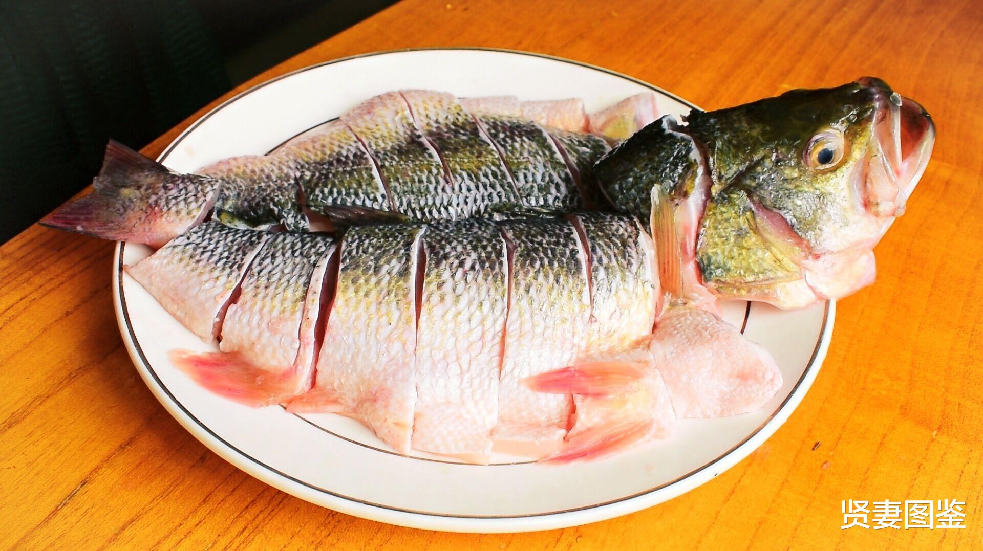 最新粉嫩饱鱼图片，时代文化印记的体现