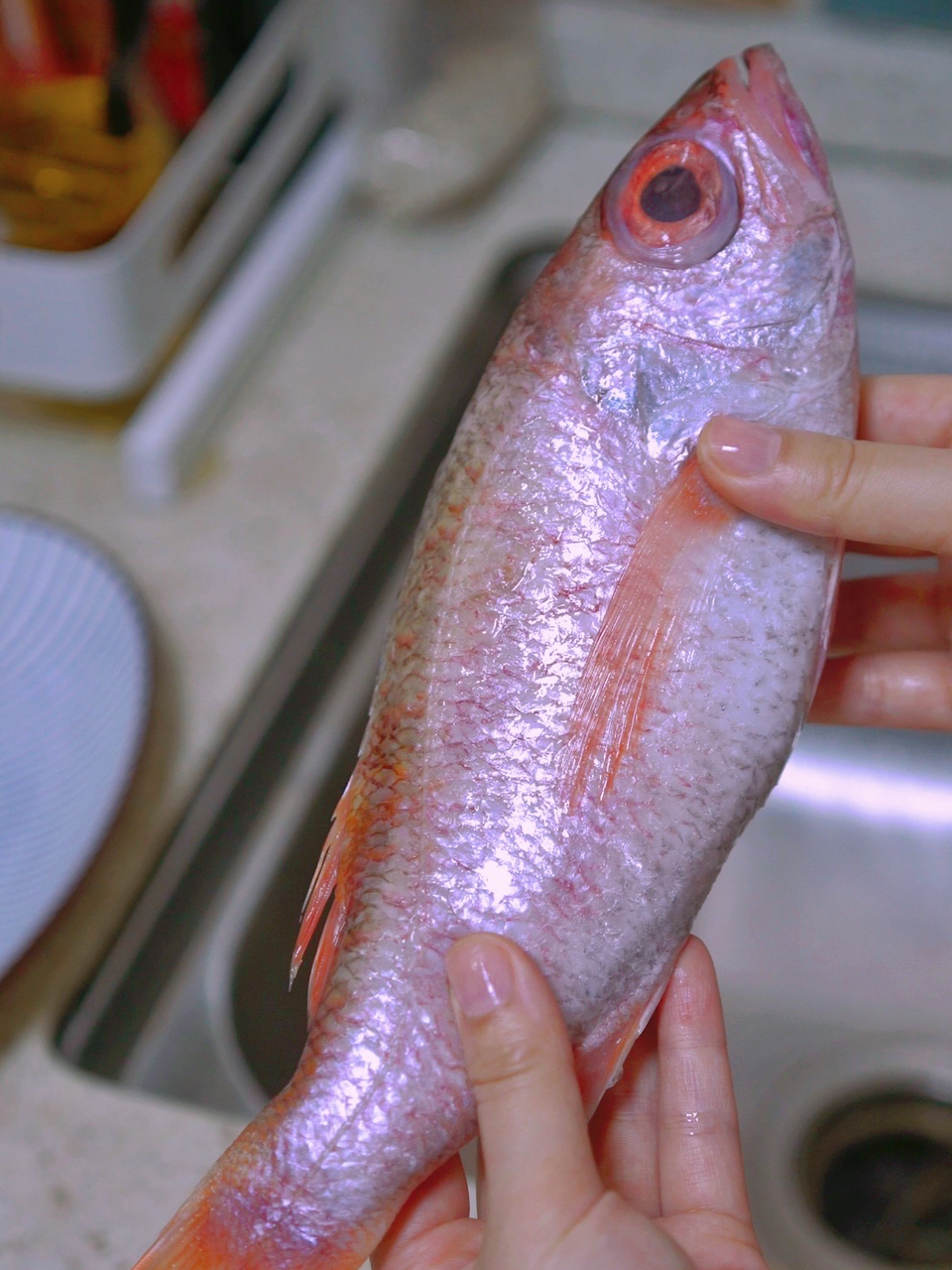 最新粉嫩饱鱼图片,时代文化印记的体现