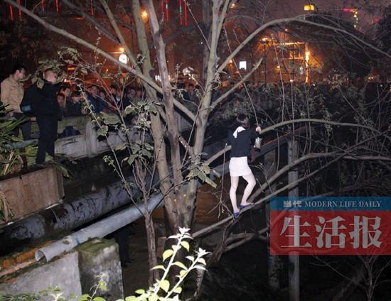 上海自然美景之旅，远离喧嚣，探索心灵之旅