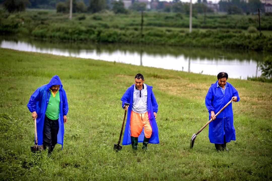 南陵购房补助最新批次解析,政策红利与机遇的解读