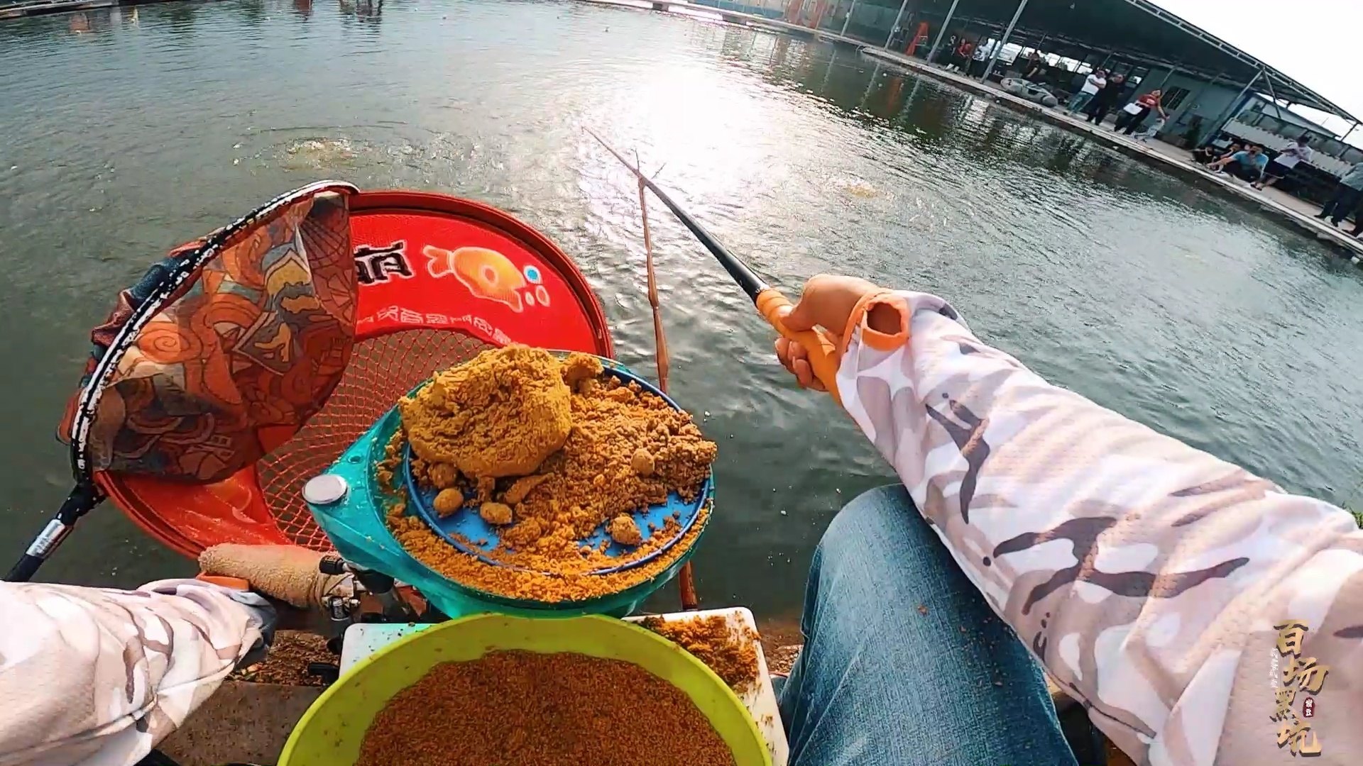 百场黑坑最新，垂钓之旅的温馨与趣味探索