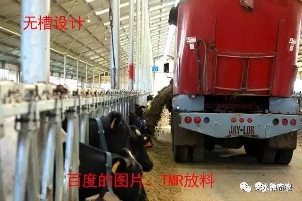 最新牛槽设计图，变化、学习与自信的力量启航