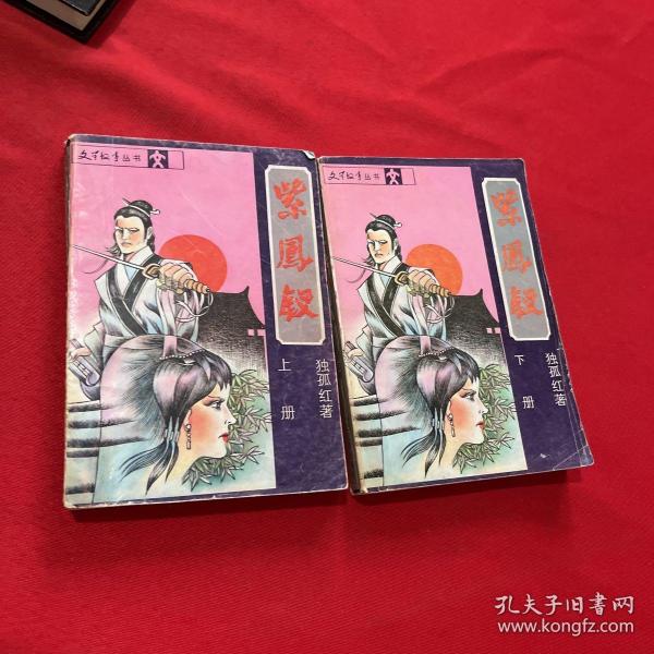 紫钗恨最新小说,小巷中的神秘之书之谜